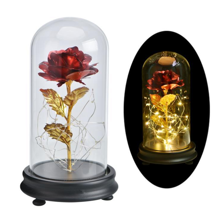 Rose with Glass Case